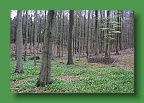 Hyacintenjogging (42)